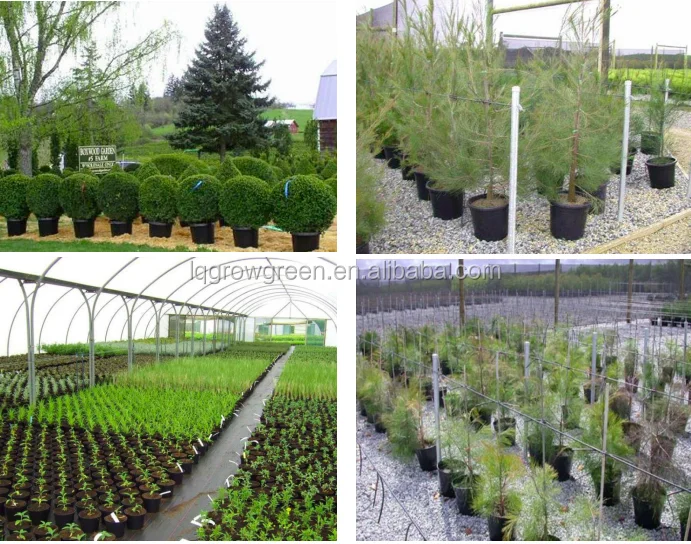 gallon pot application (1).png