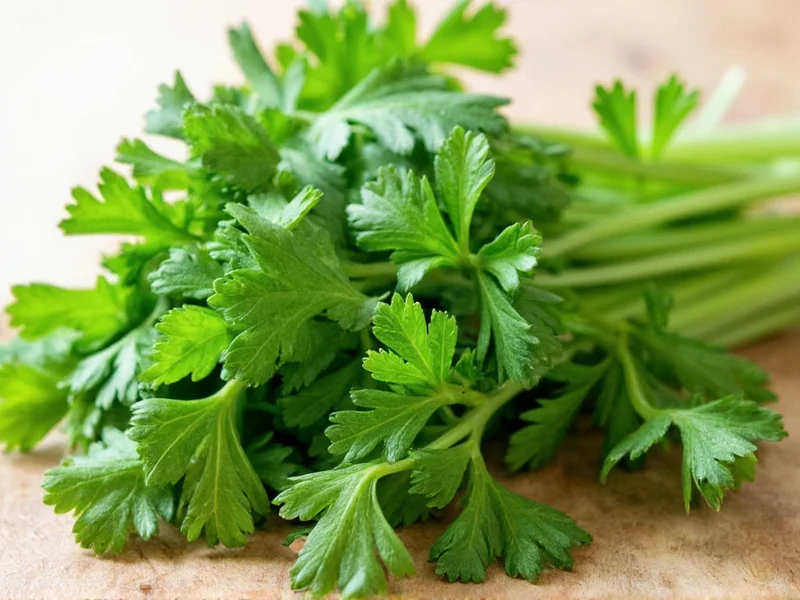 Best Parsley Substitutes: Top 5 Alternatives for Cooking