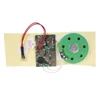Custom audio mini programmed sound chip for birthday card