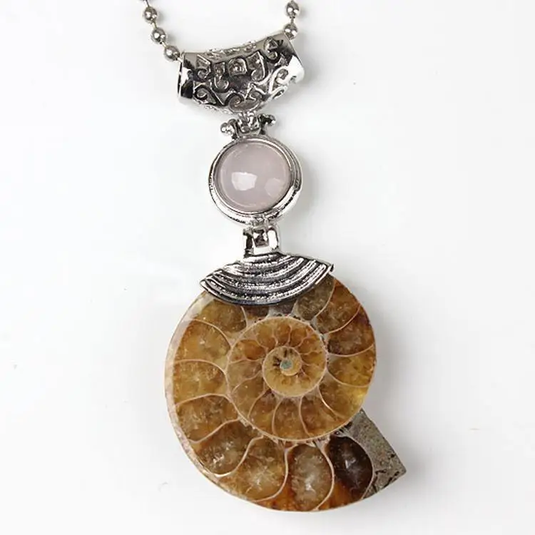 

Handmade Seashell Conch Pendant Necklace for Women Men Primitive Natural Shell Ammonite Fossil Jewelry Charm Necklaces, As shown