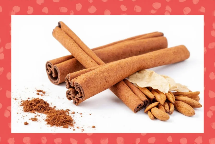 Spoon holding ground Saigon cinnamon