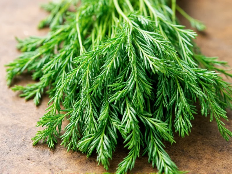 What Is Fresh Dill? Herb Definition & Culinary Uses