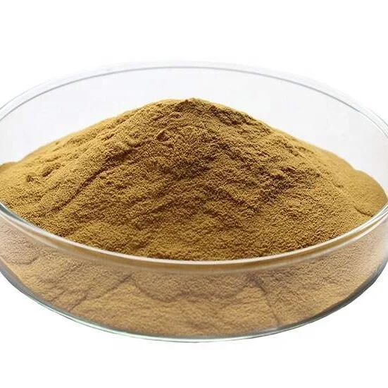 High quality Chastetree berry/Vitex Extract