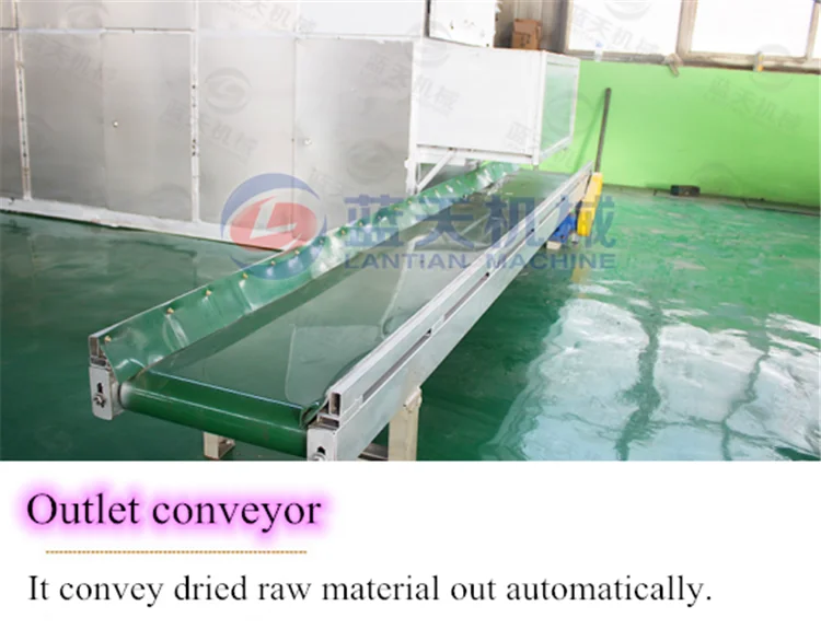 Outlet conveyor.png