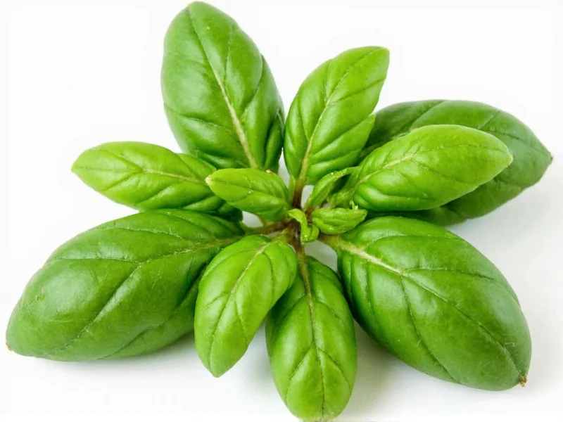How Much Dry Basil Equals Fresh: The 1:3 Conversion Rule