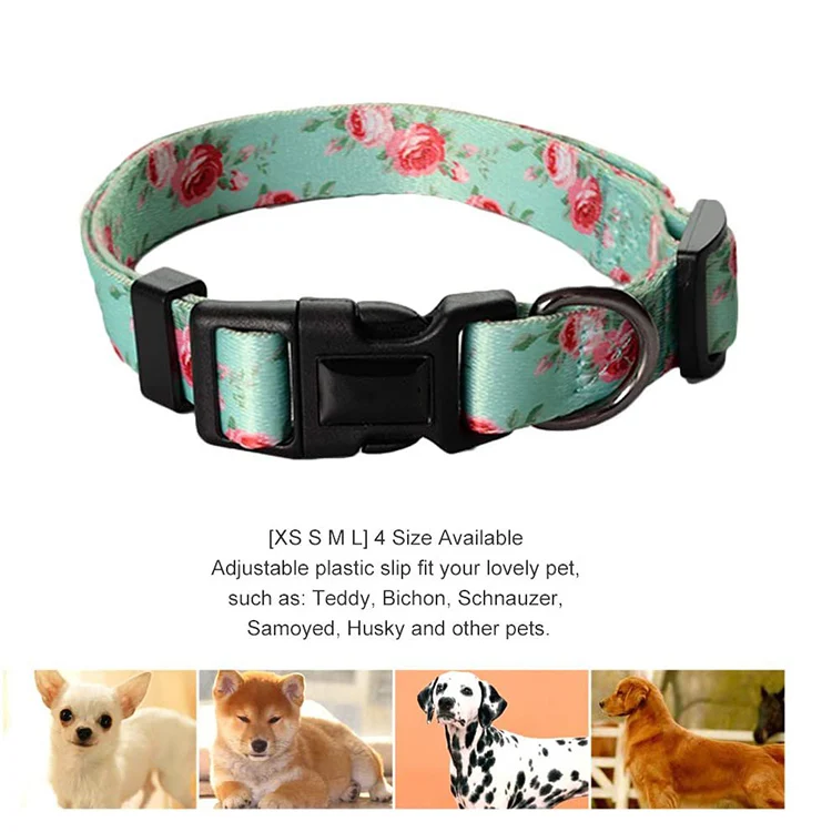 Pet Collar-71