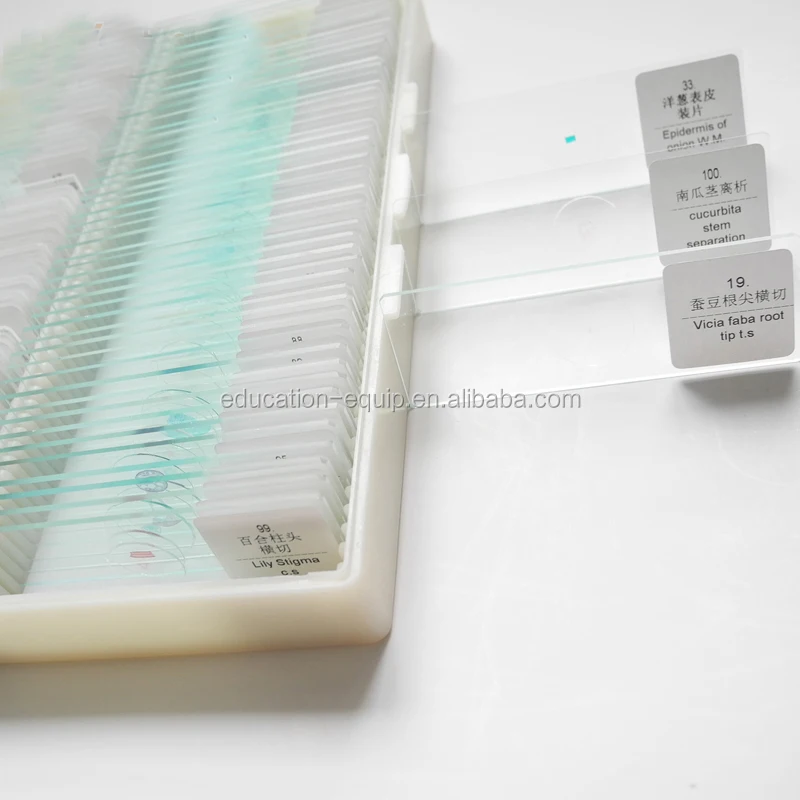 Hot Sale Glass Microscope Slide Box Biology Botany Plant Root Stem Leaf Anther Prepared Microscope Slides Buy Microscope Slides Microscope Slide Box Prepared Microscope Slide Product On Alibaba Com