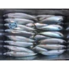 Block Shape and Vacuum Pack Packaging Horse Mackerel / Fresh Frozen Mackerel fish 400-600g