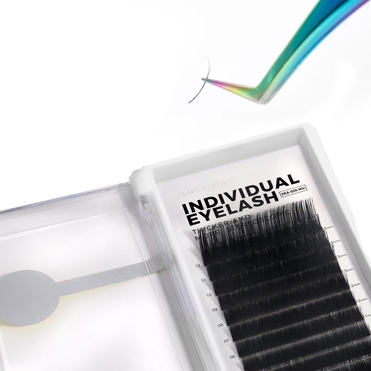 

Premade volume fans eyelash extension 6D lashes extension