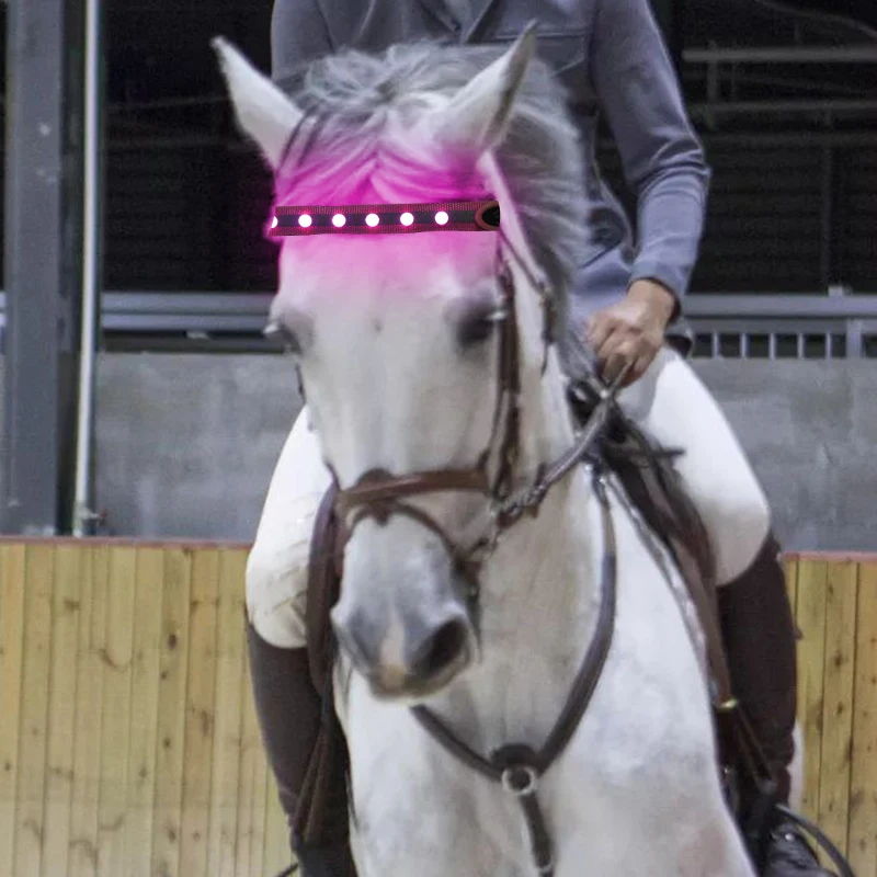 

Fashion design led light band and leg strap for horse