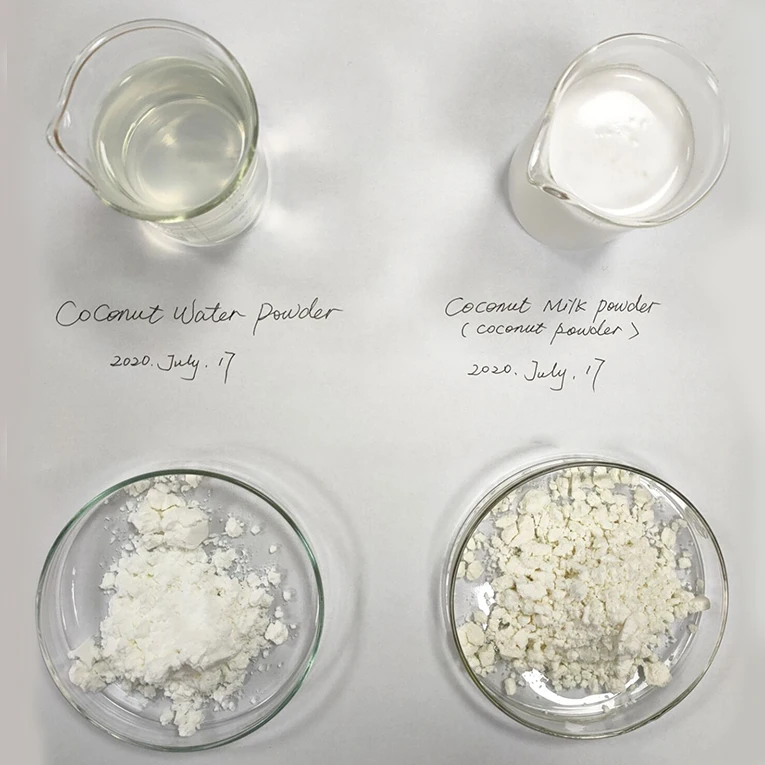 coconut powder