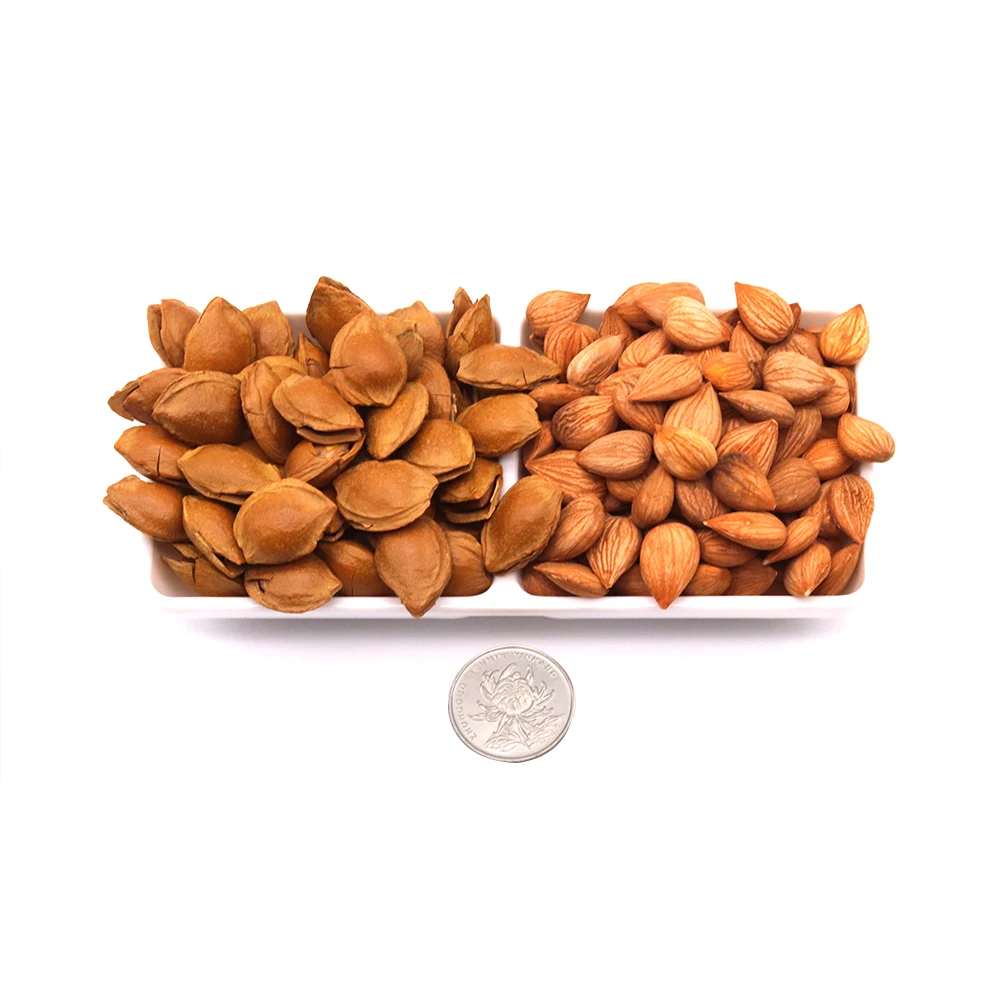 
Manufacturer nut snack food factory organic open almonds 