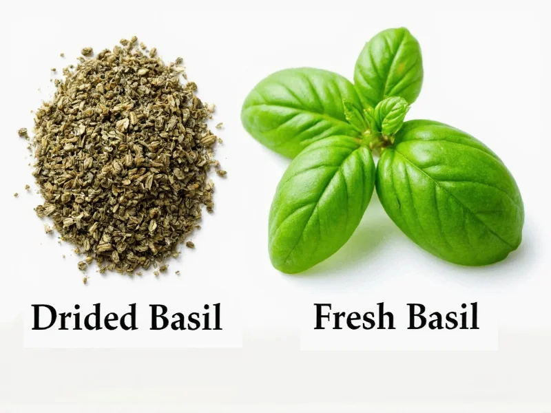 Dried Basil vs Fresh Basil: Key Differences & Best Uses