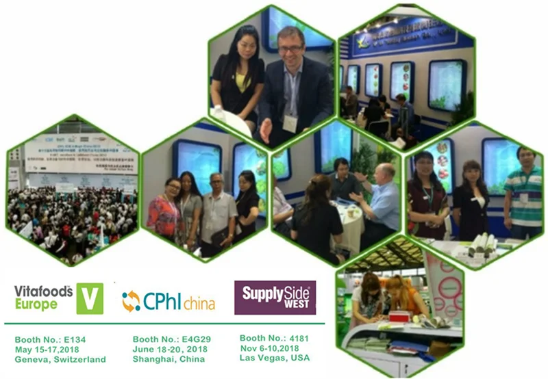 
lactose milk powder/lactose milk/lactose powder 