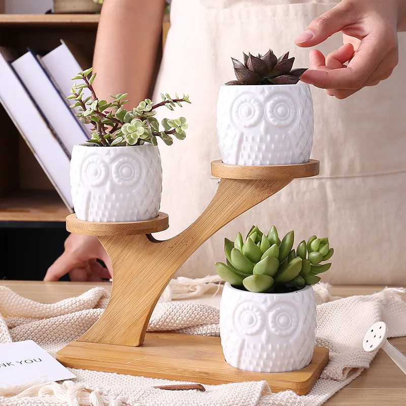 

Simple white creative modern succulent flower planter owl with treetop bamboo stand zakka combination potted ceramic plant pots, Customized color