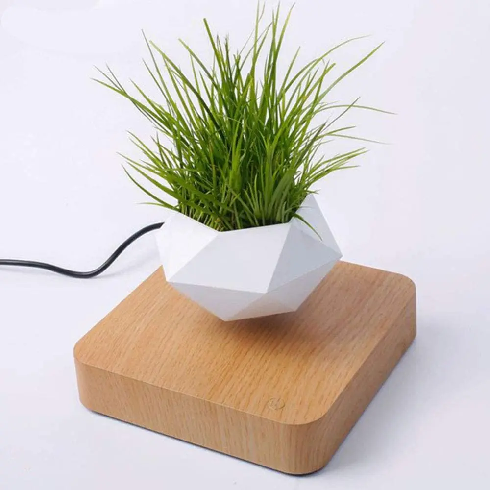 

Xmas Gift Magnetic Levitating Bonsai Plants for Women Men Kids Ball Light-Floating Table Decoration, Customized color