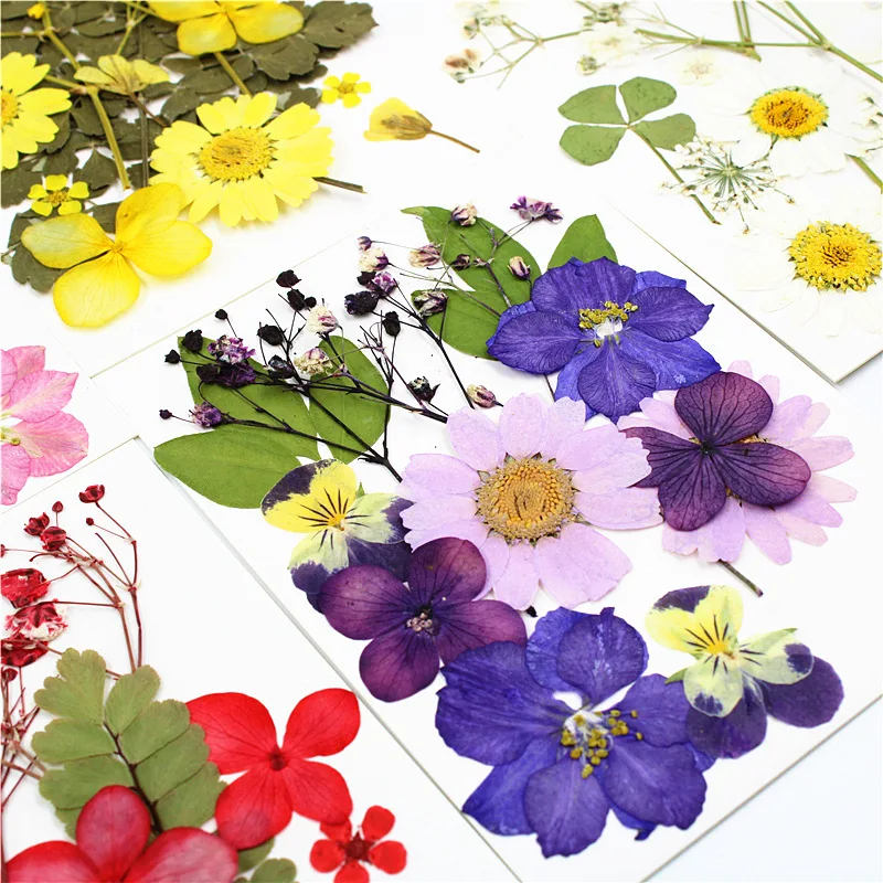 

Dried Flower Material Package Embossed Mix Pack Plant Specimen Embossing Real Leaves Real Flower Stickers Petal Makeup Bookmark