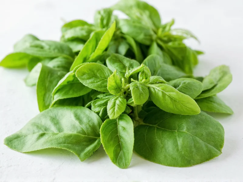 Fresh to Dry Basil Ratio: The 3:1 Conversion Guide