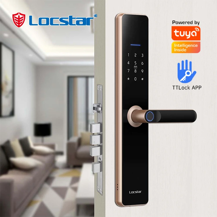 

Newly Designed Fechadura Digit Keyless Entry Wifi Steel Door Cylinder Smart Door Lock