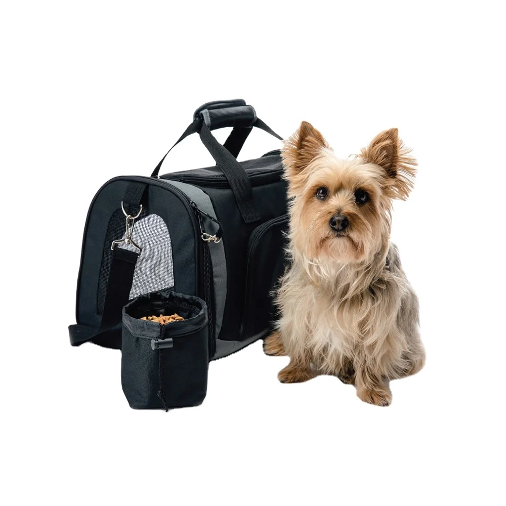 pet carry on bag