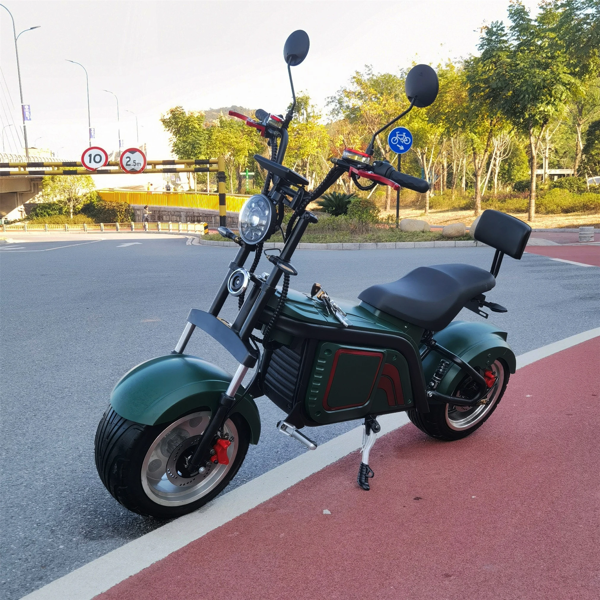 

EEC/COC EU Warehouse Colorful Popular Design For Citycoco Electric Scooter 1500W