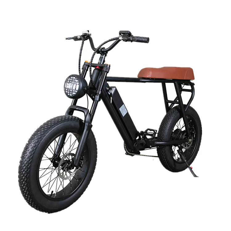 

electric bicycle(old)