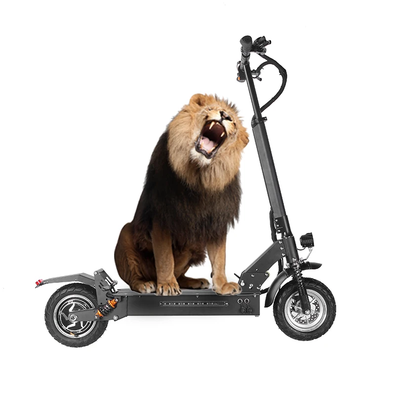 

adult fat wheel dual motor electric scooter motorcycle 2000w 2600w 48v adult
