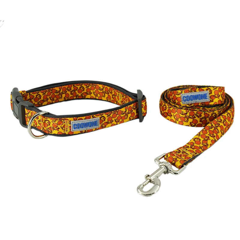 Soft Adjustable Custom Printing Nylon Dog Leash and Collar Set