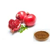 40% Pomegranate Skin Extract Ellagic Acid, Punica Granatum Extract