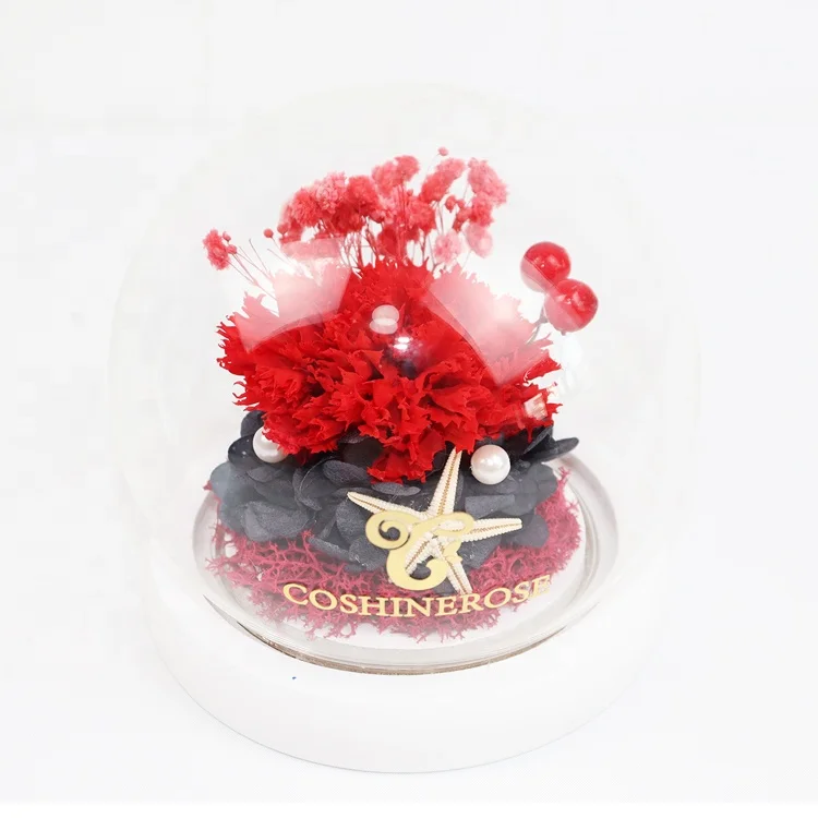 

Free Shipping Best Gift For Mothers Wholesale Eternal Carnation Preserved Flower In Glass With LED, 5 colors