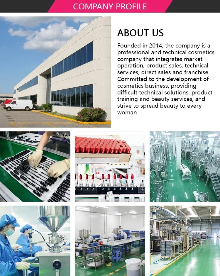 Company profile.png