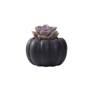 Image of Wholesale Nordic Style Pumpkin China Glazed Ceramic Flower Pots For Succulent Plants From China