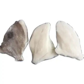 high quality seafood frozen john dory fillet with low price