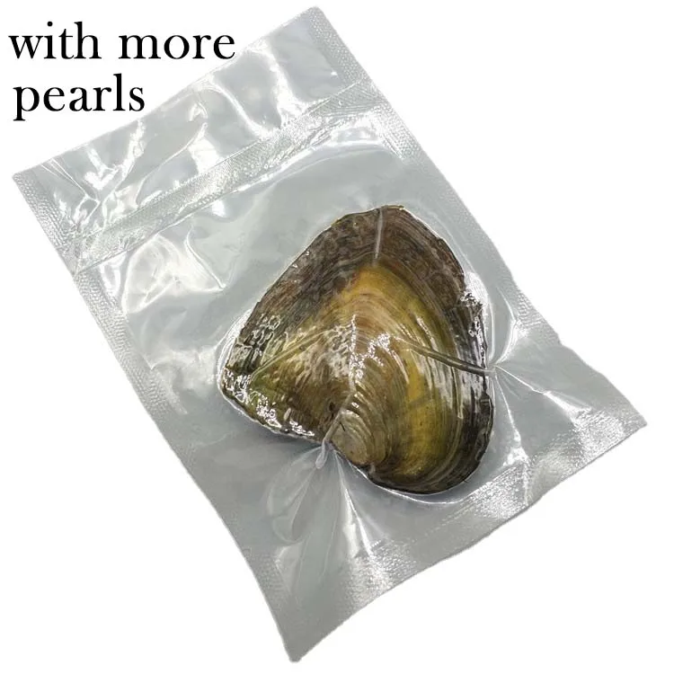 

Wholesale Freshwater pearl oyster Shell Wish Oyster with more pearls in natural colors