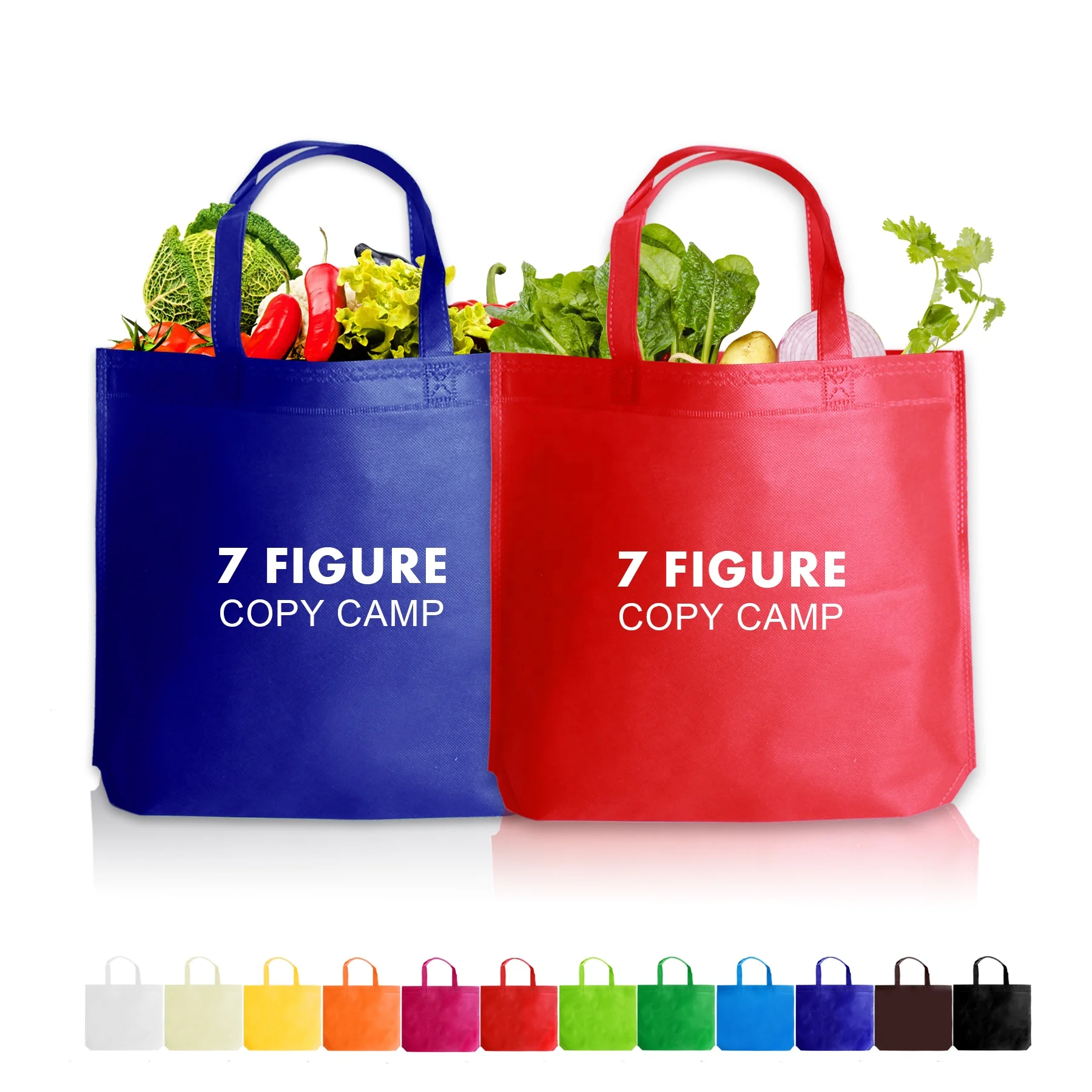 

Promotional Custom New Design Handled non-woven bag pp nonwoven carry bag