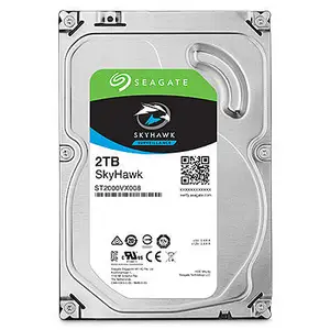 Seagate SkyHawk Surveillance Hard Drive