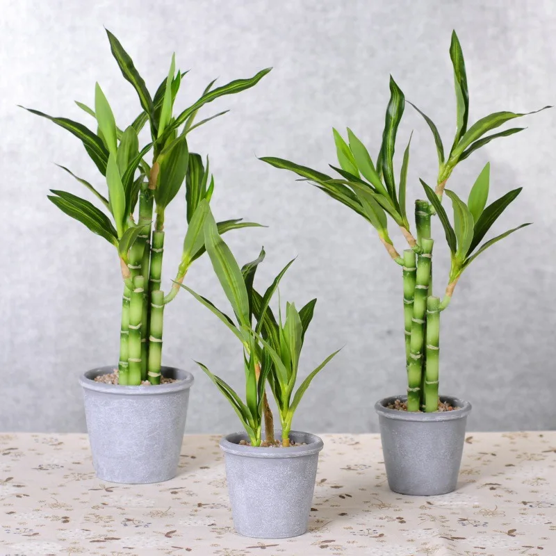 

Plastic Artificial Lucky Bamboo Plants for Sale, As picture