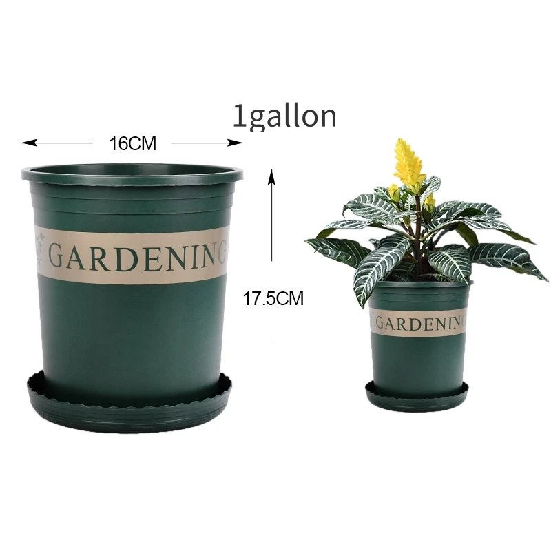 

Hot sale garden wholesale cheap plastic flower pot indoor decoration green plant orchid plant pot