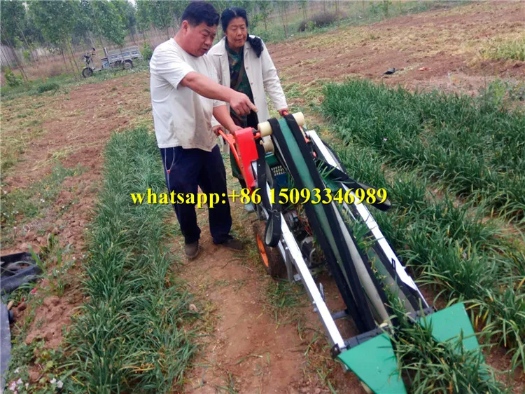 Professional Oregano Coriander Harvesting Machine/ Energy Saving Sage