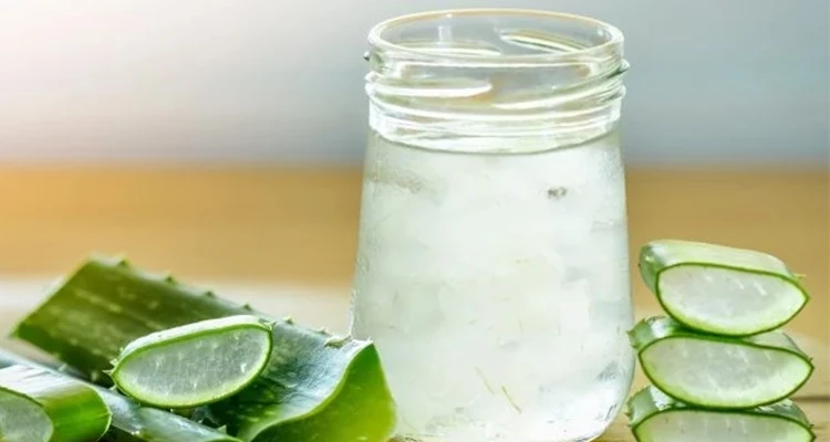 aloe vera juice pulp
