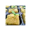 yellow grodan rockwool rock wool seed planting grow cube