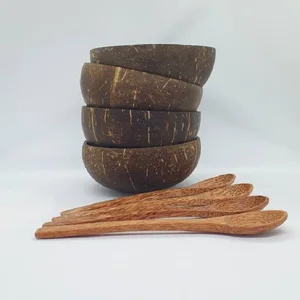 Image of Fancy LOGO Big Organic Coconut Shell Bowls and Wooden Spoon Sets