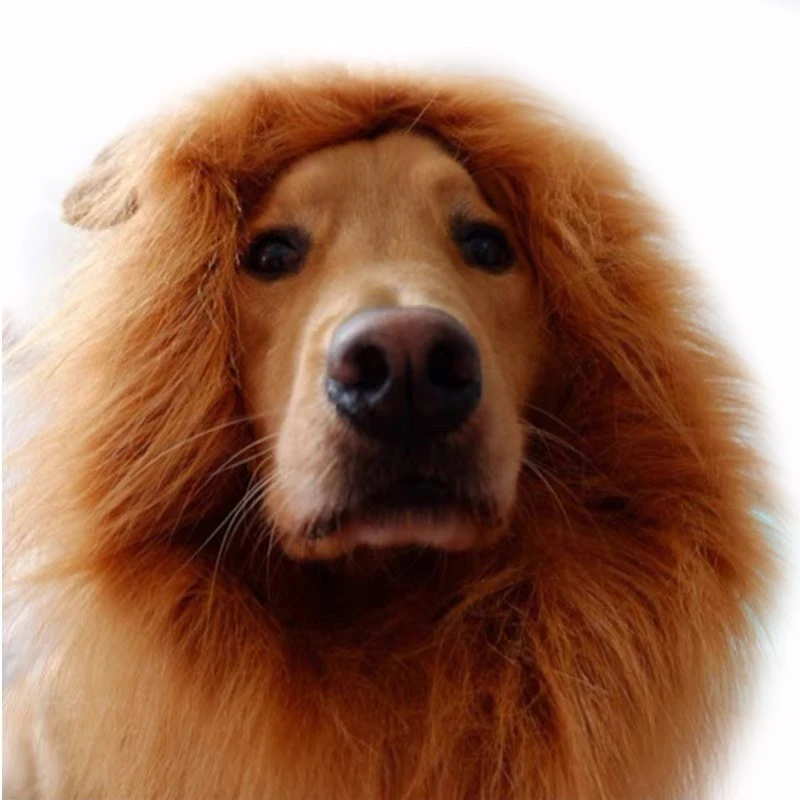 

Factory Price Pet Wig Lion Mane Costume For Small Large Dogs Festival Party Fancy Hair Dog Clothes Pet Accessories, Customized color