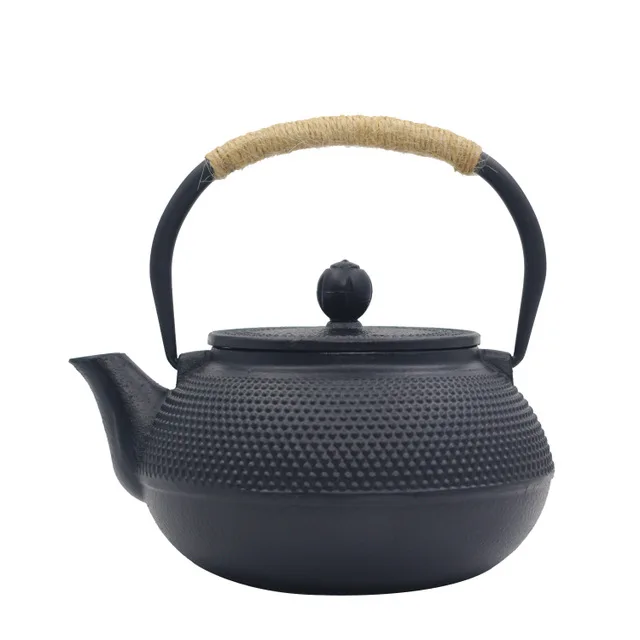 

Japanese Style Cast Iron Teapot Tea Kettle pot with Stainless Steel Infuser