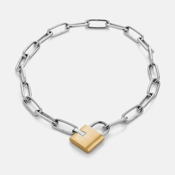 

Fashion Stainless Steel Jewelry Link Chain Custom Men Padlock Silver Gold Lock Pendant Paper Clip Chain Necklace, Picture shows