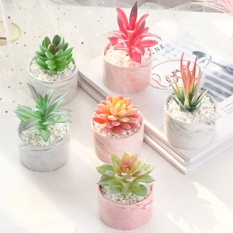 

X-2011 Nordic Style Table Plastic Artificial Mini Succulent Plants Pot Decoration, 1 colors