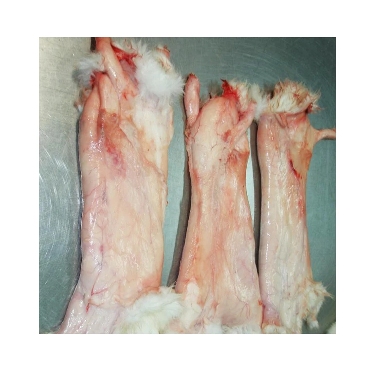 
Bulk Cheap Price Frozen Raw Rabbit Skin From EUROPE For Sale 