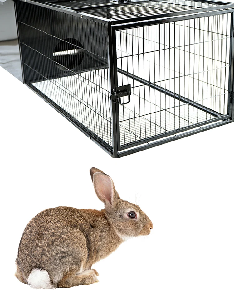 Large For Single Cages Indoor Rabbit Cage Wood Pet