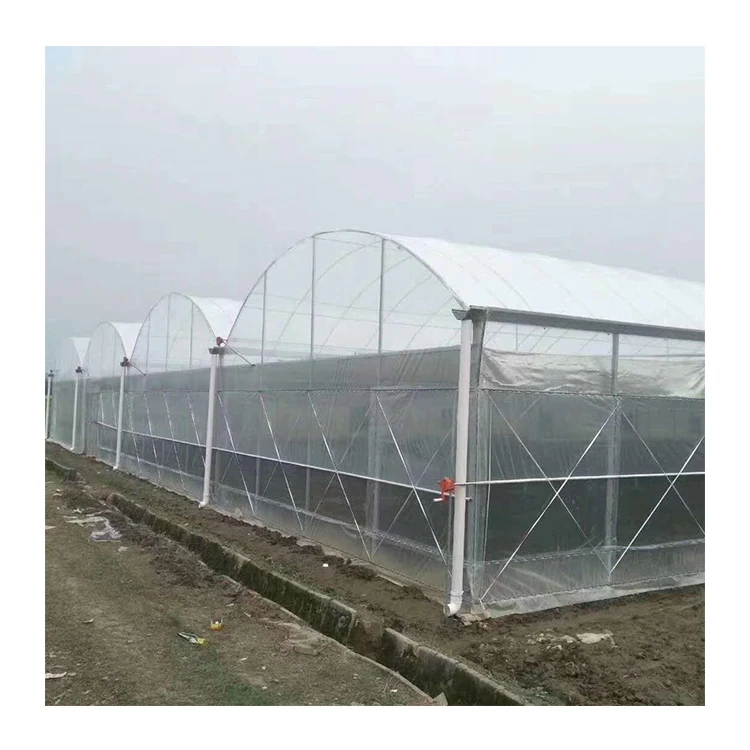 Agriculture Poly Tunnel Light Deprivation Blackout Plastic Film In-Solar Greenhouse