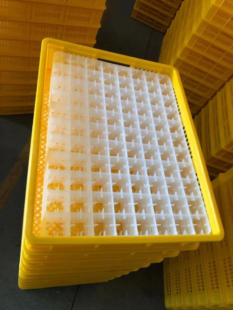 Yellow colour hatch box chick transport box for egg incubator use